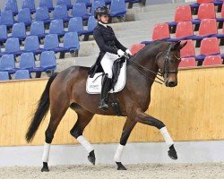 broodmare Folkens Feldrose (Oldenburg, 2017, from For Dance)