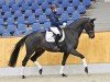 dressage horse Dancing Queen (Oldenburg, 2020, from For Dance)