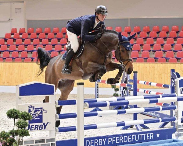 jumper Capetown (Oldenburg show jumper, 2019, from Conthargos)