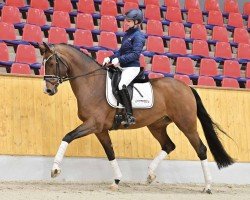 dressage horse Vivienne (Oldenburg, 2020, from Vitalis)