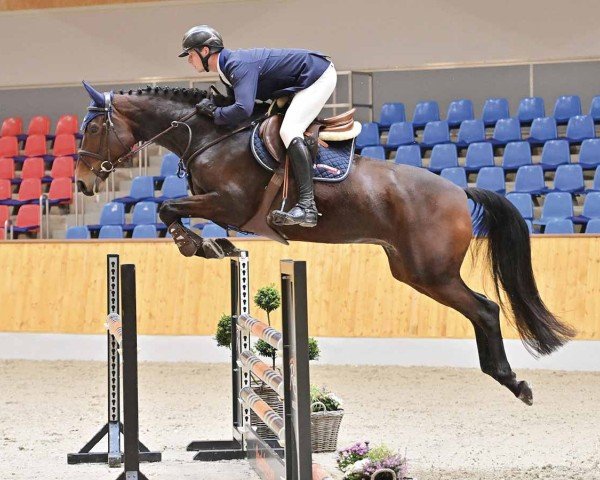 jumper Greta DB (Hanoverian, 2019, from Glasgow van het Merelsnest)