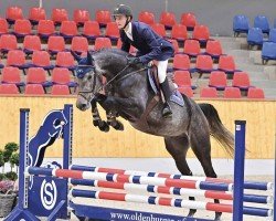 jumper Chacroon Blue B (Oldenburg show jumper, 2020, from Chacoon Blue)