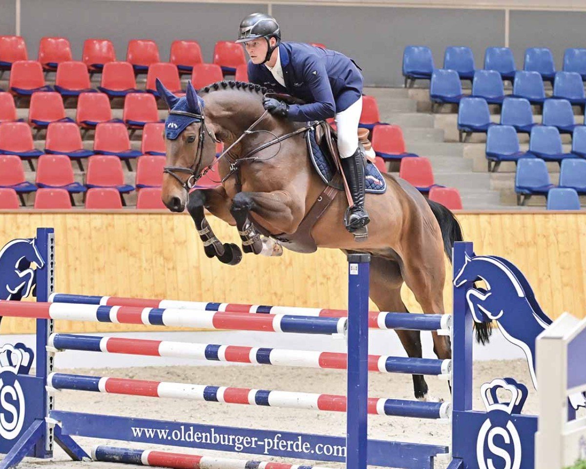 jumper Django 469 (Holsteiner, 2019, from Diamant de Semilly)