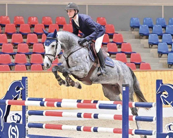 jumper Hilda M (Oldenburg, 2018, from Hickstead White)