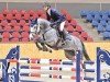 Springpferd Hilda M (Oldenburger, 2018, von Hickstead White)