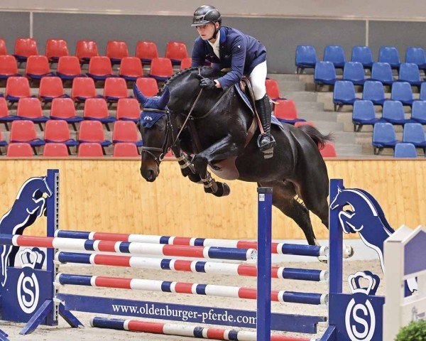 jumper Contessa B 3 (Oldenburg show jumper, 2019, from Conthargos)