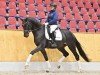 dressage horse Verstappen GS (Hanoverian, 2021, from Harmony's V-Plus)