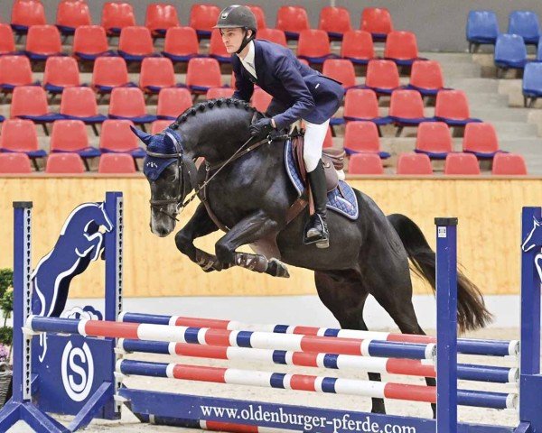 horse Naloubet (Hanoverian, 2020, from Nartago)