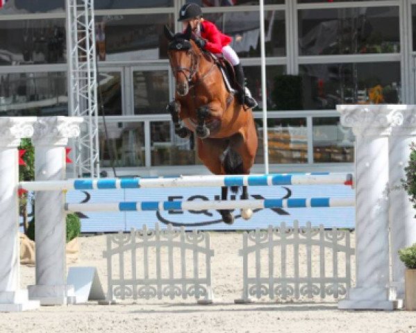 jumper Rle Nina van Overis Z (Zangersheide riding horse, 2009, from Nonstop)