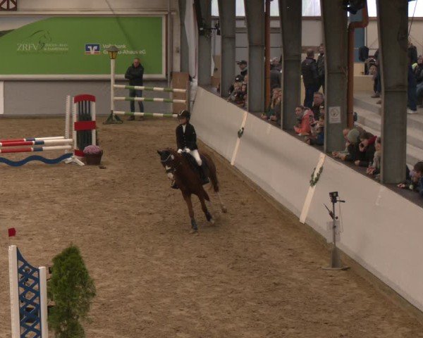 Reitturnier Legden | Ponyturnier 2024