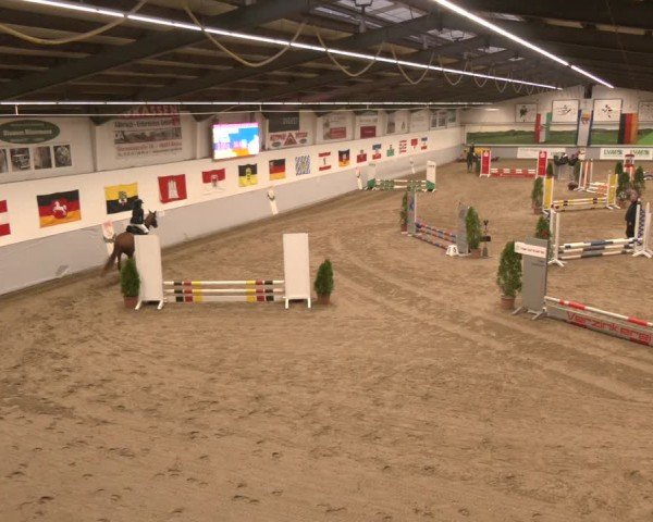 Reitturnier Legden | Ponyturnier 2024