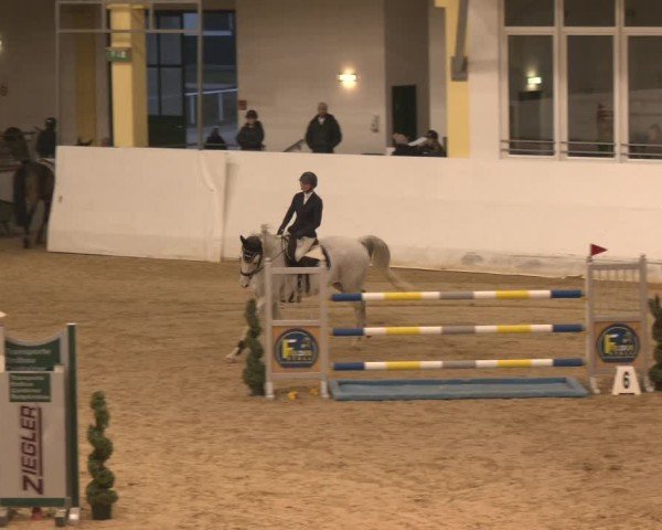 Reitturnier Stadl-Paura 2024