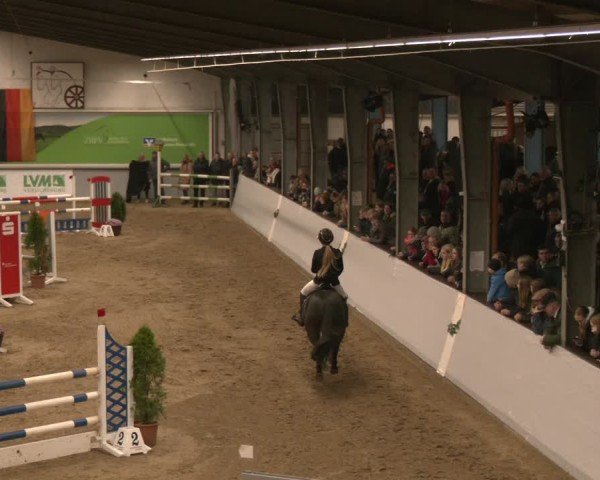 Reitturnier Legden | Ponyturnier 2024