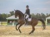 dressage horse Rocky Deluxe (Hanoverian, 2011, from Romancero H)