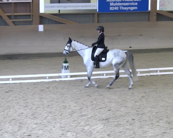 Reitturnier Schaffhausen 2024