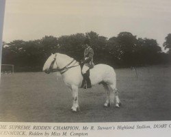 Deckhengst Duart of Glenmuick (Highland-Pony, 1979, von Cameron)