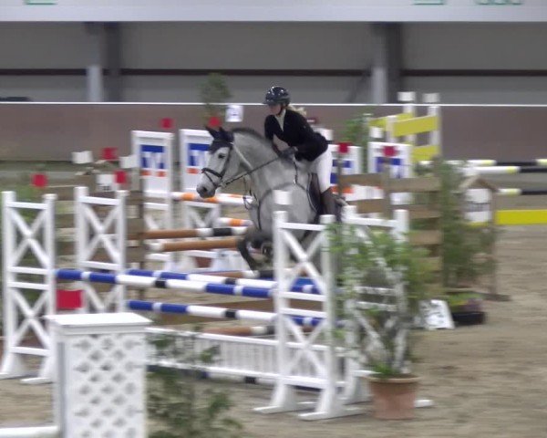 Reitturnier Gahlen 2024