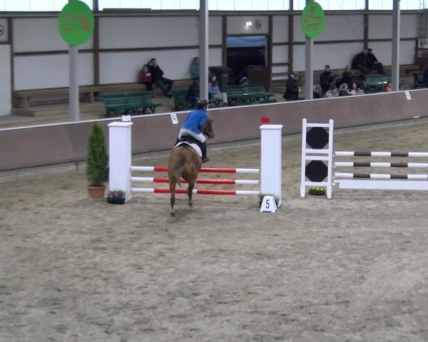 Reitturnier Gahlen 2024