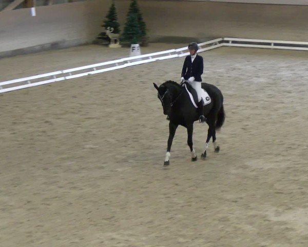 Reitturnier Schaffhausen 2024