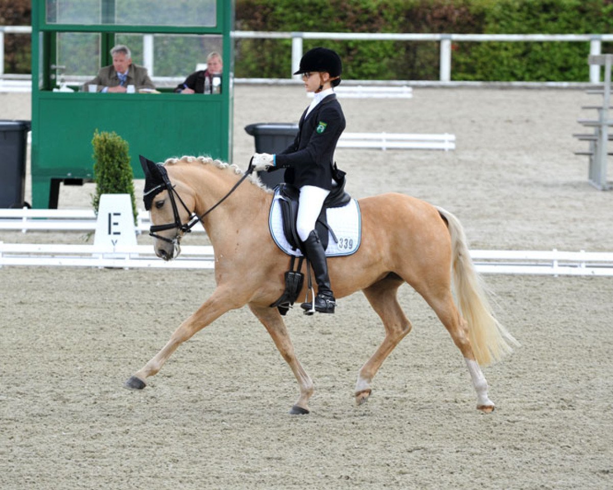 Dressurpferd White Love B (Deutsches Reitpony, 2008, von White Gold B)