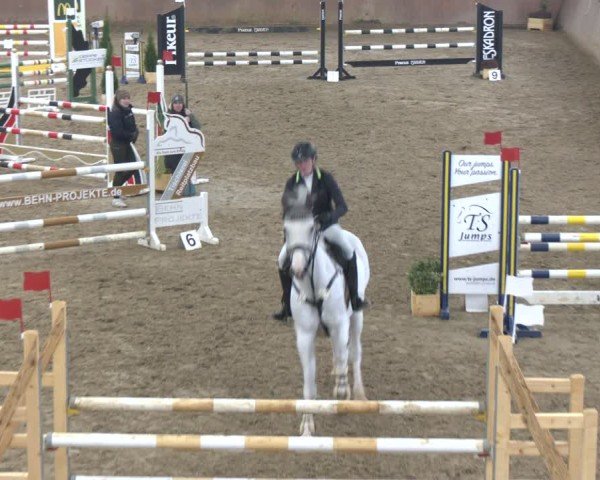 Reitturnier Bad Salzuflen 2024