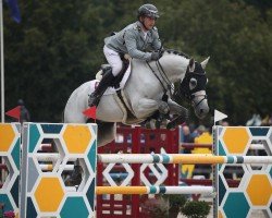 stallion Nairobi de Muze (Belgian Warmblood, 2013, from Elvis Ter Putte)