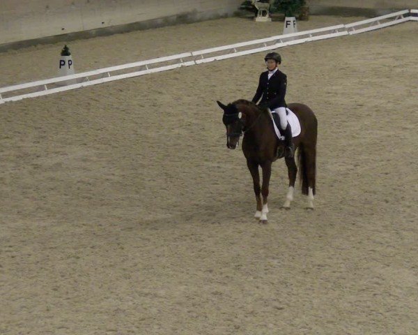 Reitturnier Schaffhausen 2024