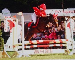 horse S.M. Thunderstar of March (Connemara Pony, 1997, from Chiltern Thunderburst)