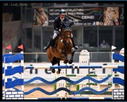 Springpferd Sr - Lady Dubai (Belgisches Warmblut, 2017, von Jenson van't Meulenhof)