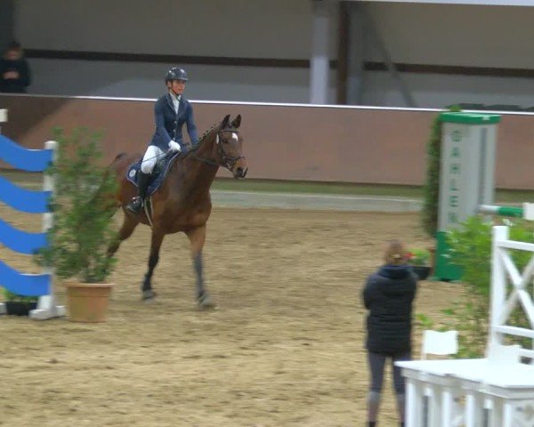 Reitturnier Gahlen 2024