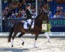 dressage horse Hildegard 13 (Hanoverian, 2019, from Follow Him's Schönweide)