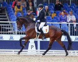 dressage horse Rocky MW (German Sport Horse, 2019, from Rock Forever NRW)