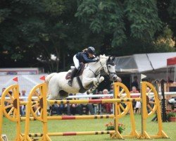 jumper Antonia 167 (German Sport Horse, 2009, from Askano)