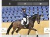 dressage horse Fürst Fandango (Oldenburg, 2018, from For Dance)