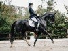 dressage horse Smartie S (Oldenburg, 2009, from Sancisco)