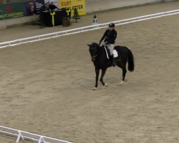 Reitturnier Schaffhausen 2024