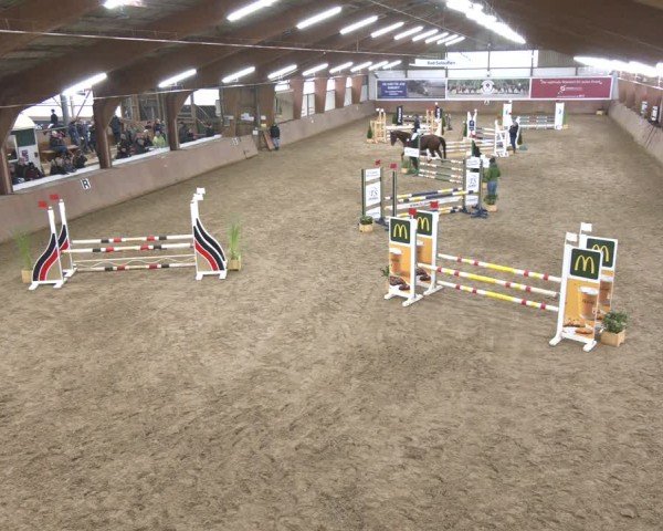 Reitturnier Bad Salzuflen 2024