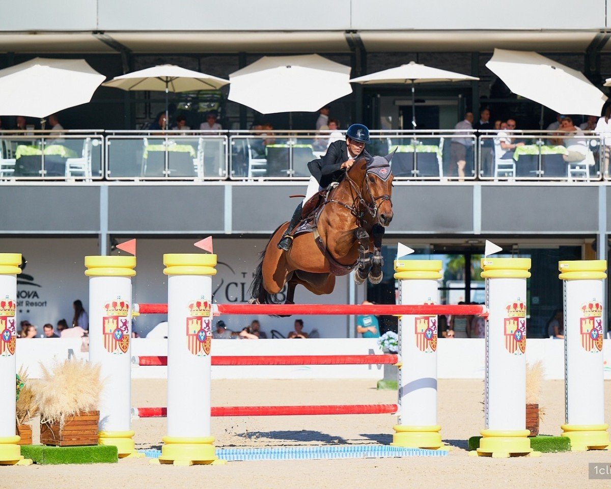 jumper Jup (KWPN (Royal Dutch Sporthorse), 2010, from Carrera VDL)