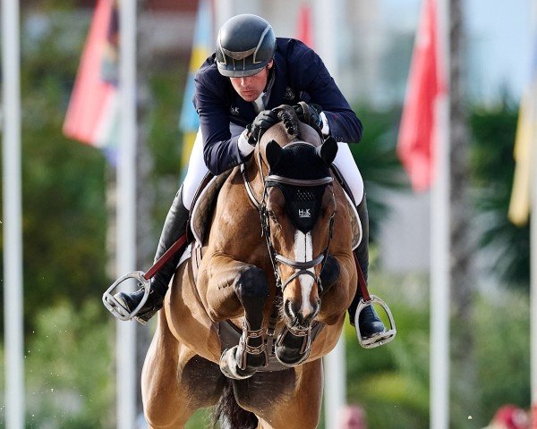 Springpferd Jezebeau Bc (Belgium Sporthorse, 2015, von Thunder van de Zuuthoeve)