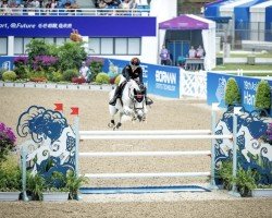 jumper Quidamia D (Luxembourg horse, 2009, from Quidam de Revel)