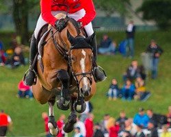 Springpferd Albfuehren's Bianca (Schwedisches Warmblut, 2006, von Balou du Rouet)