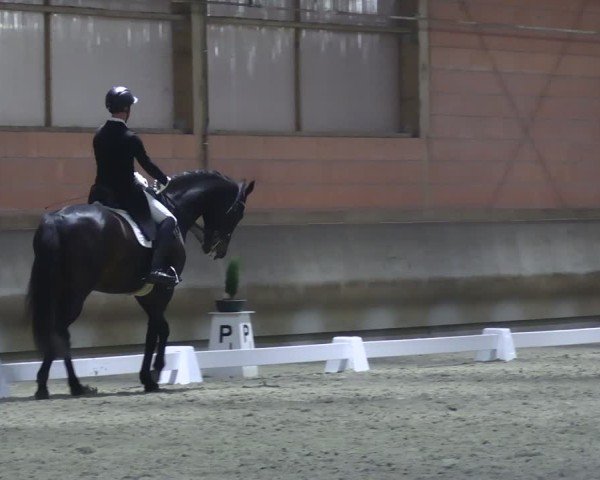 Reitturnier Tremsdorf, Eichenhof 2024