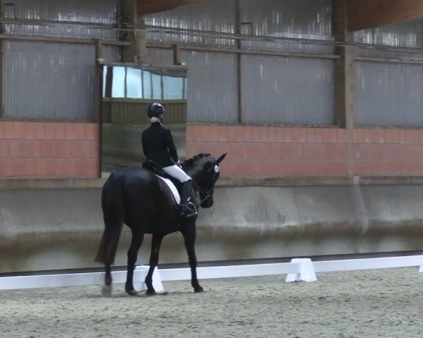 Reitturnier Tremsdorf, Eichenhof 2024