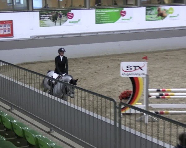 Reitturnier AZL Luhmühlen 2024