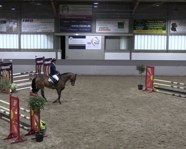 Reitturnier AZL Luhmühlen 2024