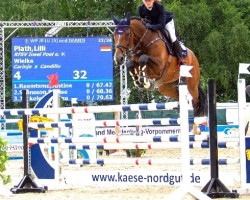 jumper Wielka (Holsteiner, 2006, from Carinjo)