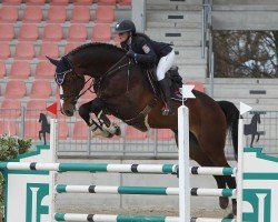 stallion Landeshut (German Sport Horse, 2016, from Landskron 3)