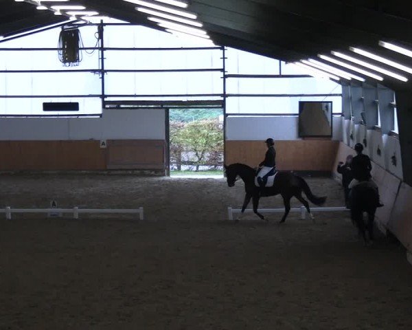 Reitturnier Datteln 2024