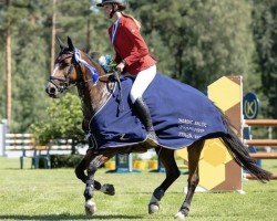 jumper Sixmile Waterblaze (Irish horse, 2006)