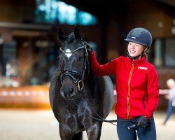 dressage horse Notre Petit (German Riding Pony, 2014, from Notre Baux)